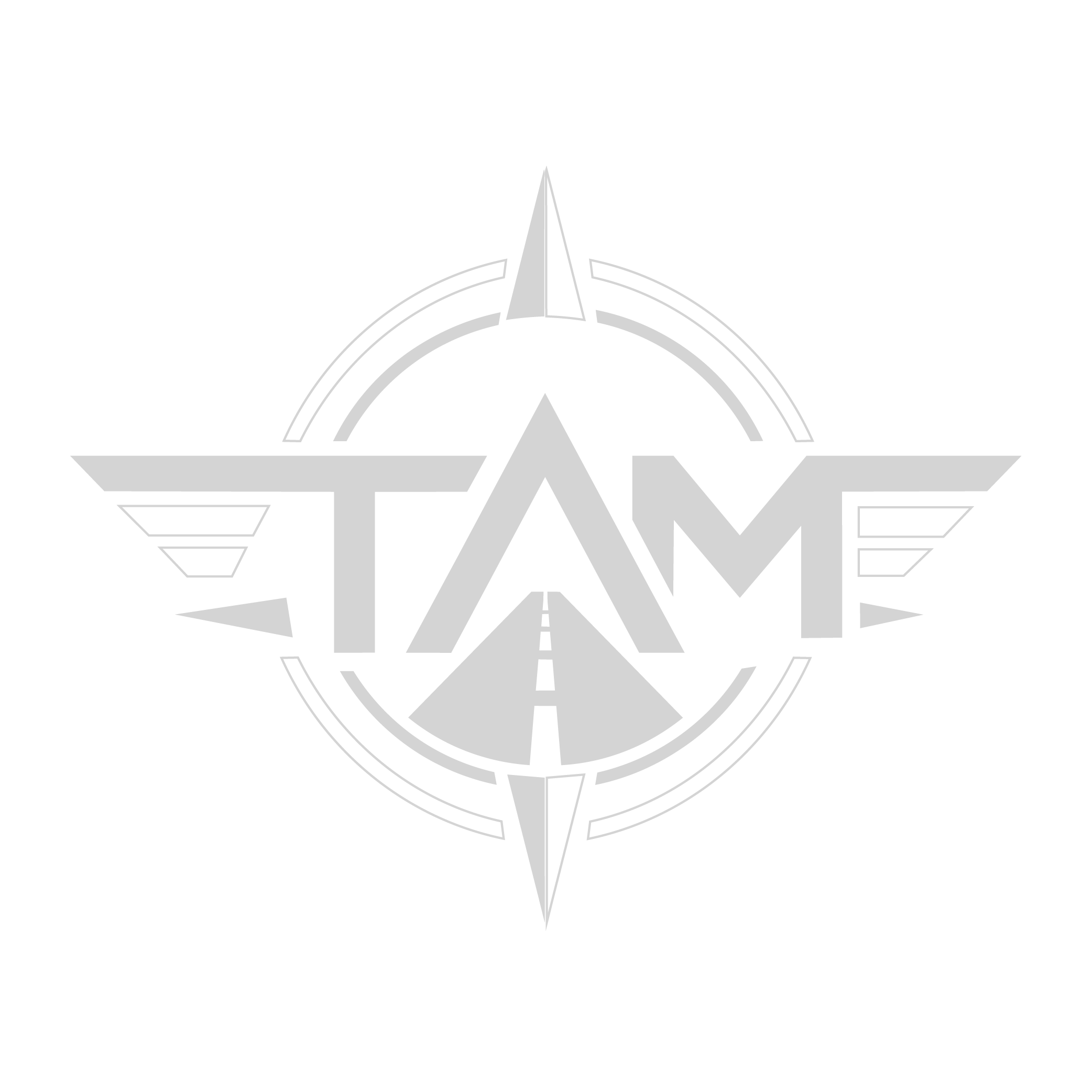 TAM Aero Group Logo
